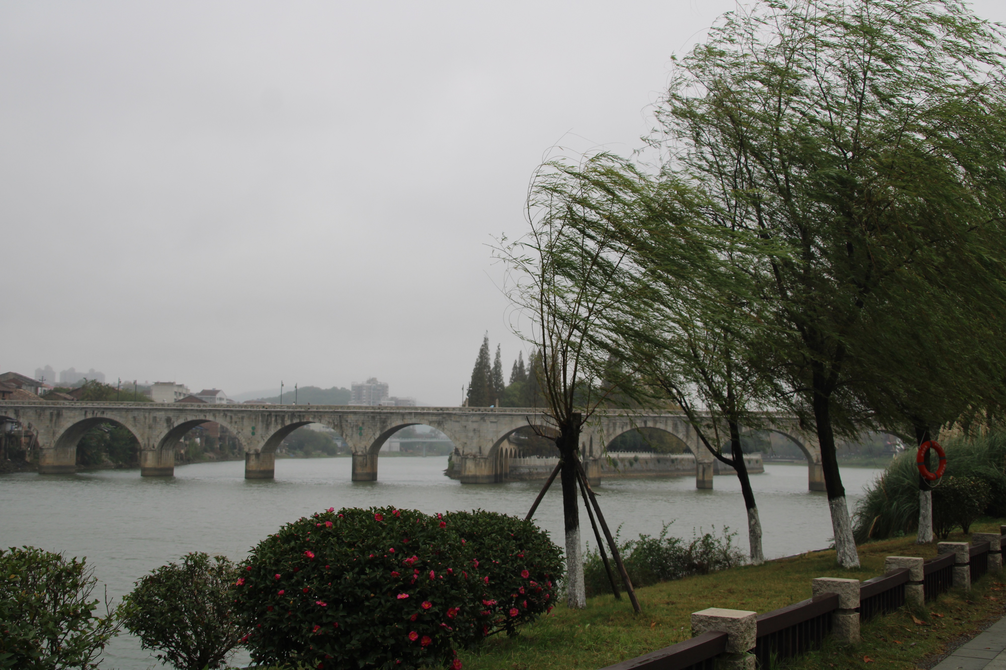 d006ac162cae4379b1acfd9395a4a862.jpg IMG_5993.JPG