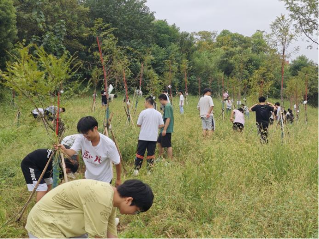 5d989210ab08487382354fdb65047026.png 5d989210ab08487382354fdb65047026.png